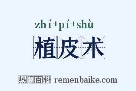 植皮术是什么意思的图片